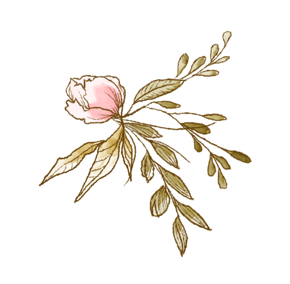 Decoration-05.png Decoration-05.png